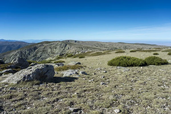 Alpina gräsmarker med svingel och vadderad småskog — Stockfoto