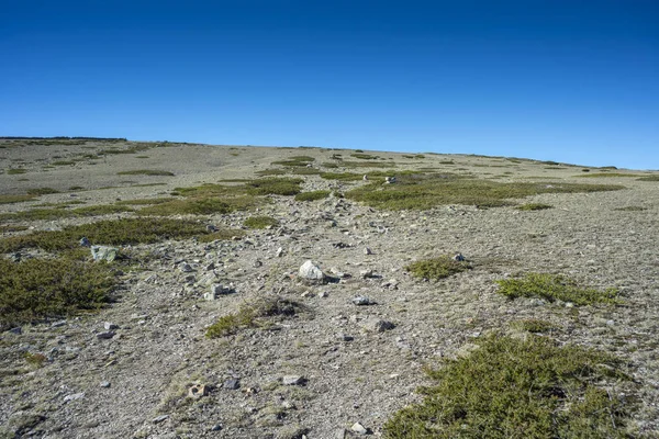 Alpina gräsmarker med svingel och vadderad småskog — Stockfoto