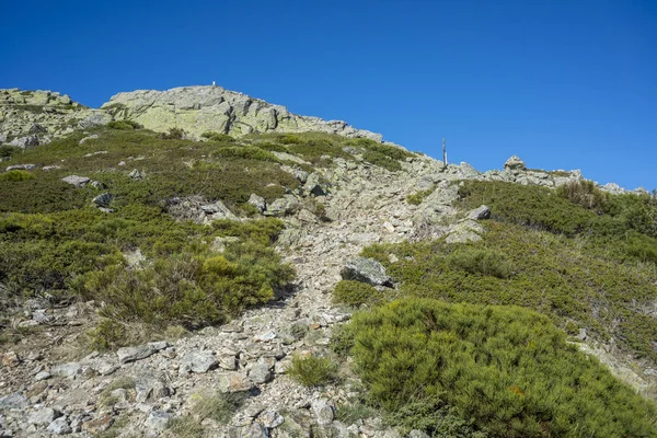 Pastizales alpinos de Fescue y pinceles acolchados — Foto de Stock