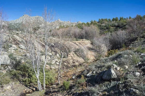 Utsikt över floden Arroyo de ärt Jardinera i Guadarrama bergen — Stockfoto