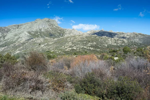 Vistas del río Navacerrada — Foto de Stock