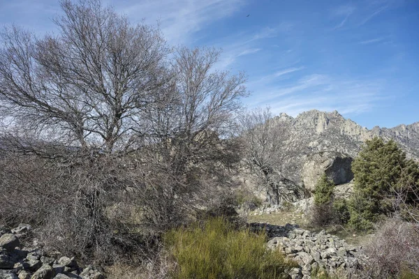 Veduta della catena montuosa La Cabrera, a Guadarrama — Foto Stock