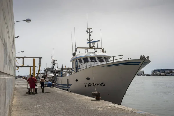 Fiske Båtar Lossning Fisk Hamnen Santa Pola Alicante Spanien Den — Stockfoto