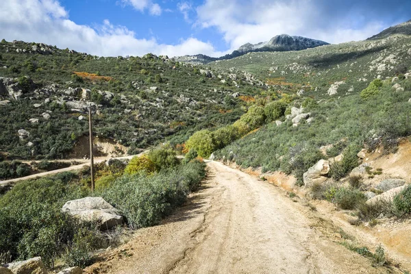 土路在 Porrones Guadarrama Boalo 马德里 西班牙 植被包括灌丛 Cistus Laurifolius 与杜松树 — 图库照片