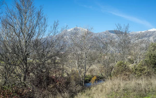 Uitzicht Fuentiduena Stream Zijn Weg Door Stad Van Cerceda Provincie — Stockfoto