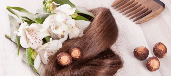 Hair soapnuts ayurvedic powder and comb — Stock Photo, Image