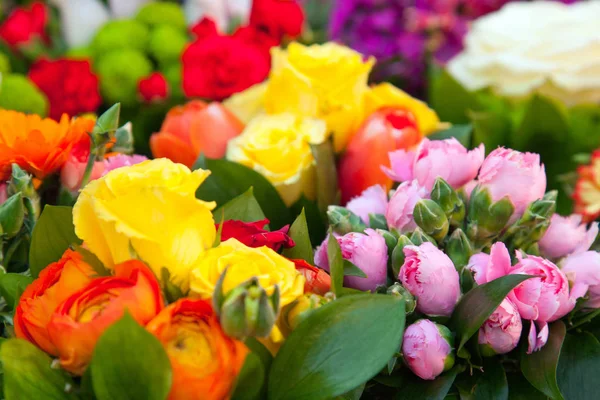 Разнообразие цветов на рынке — стоковое фото