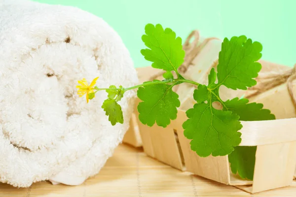 白屈菜肥皂和棉毛巾 — 图库照片