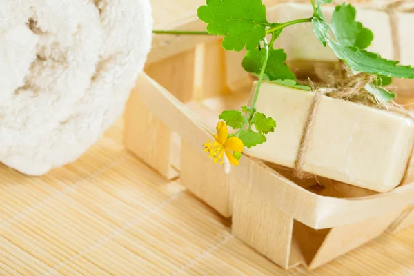 Celandine soap and cotton towel — Stock Photo, Image