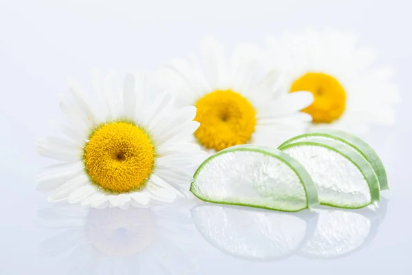 Frische geschnittene Aloe und Kamille — Stockfoto