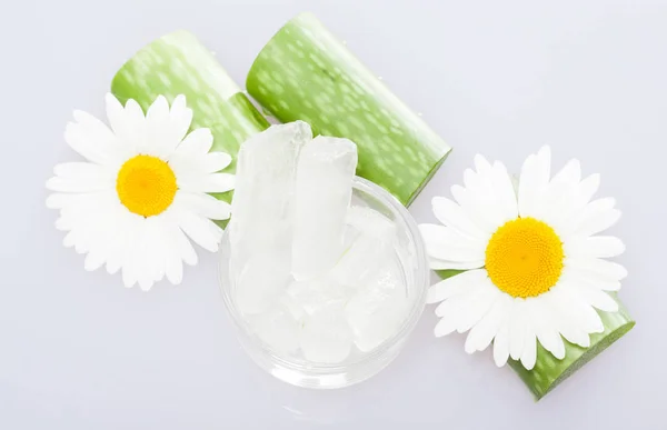 Composición de aloe y manzanillas —  Fotos de Stock