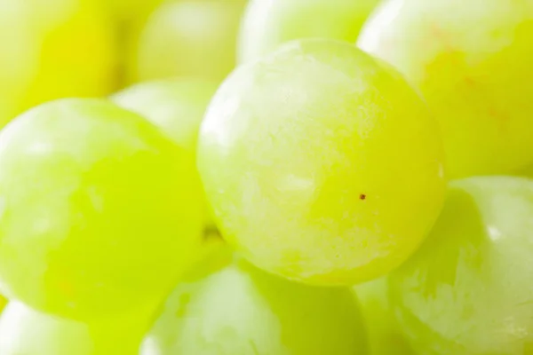 Uvas verdes frescas — Fotografia de Stock