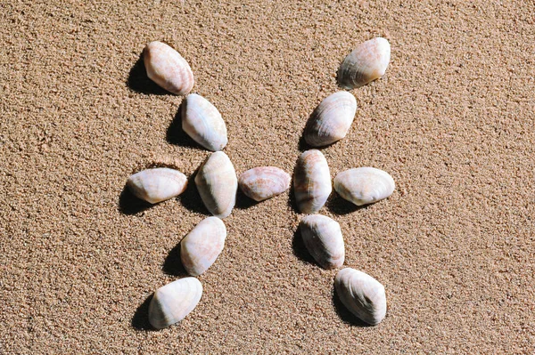 Pisces Zodiac sign made of seashells — Stock Photo, Image