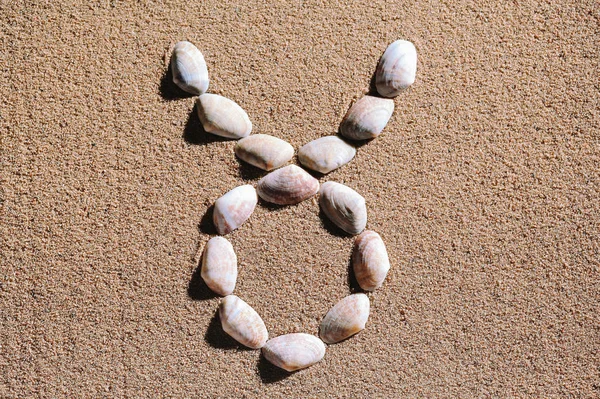 Touro signo do zodíaco feito de conchas — Fotografia de Stock