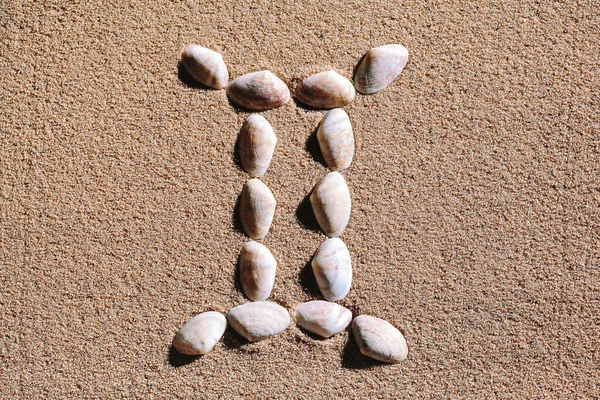 Signo do zodíaco de Gêmeos feito de conchas — Fotografia de Stock