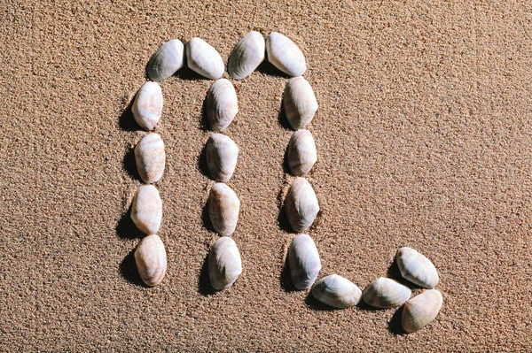 Scorpio Zodiac sign made of seashells — Stock Photo, Image