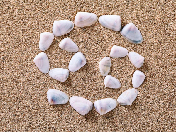 Cancer Zodiac sign made of seashells