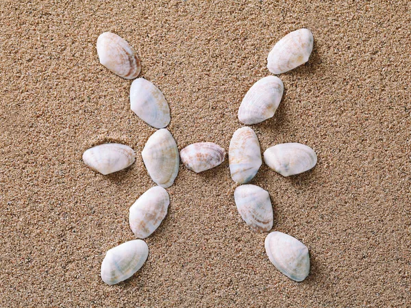 Pisces Zodiac sign made of seashells — 스톡 사진