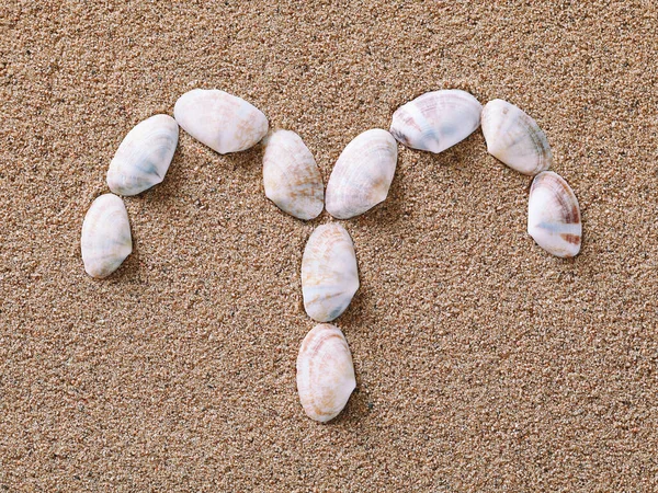 Aries Zodiac sign made of seashells — Stock Photo, Image