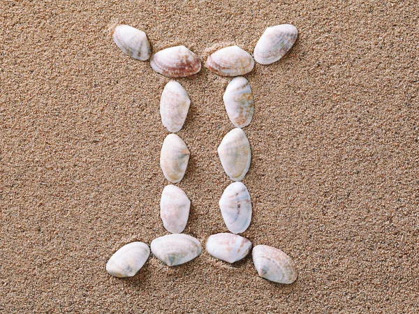 Gemini Zodiac sign made of seashells — Stock Photo, Image
