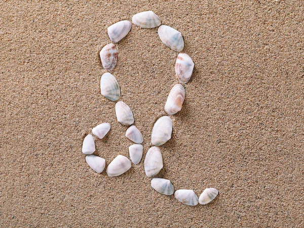Leo Zodiac sign made of seashells — Stock Photo, Image