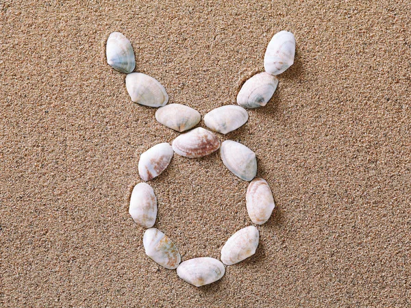 Taurus Zodiac sign made of seashells — Stock Photo, Image