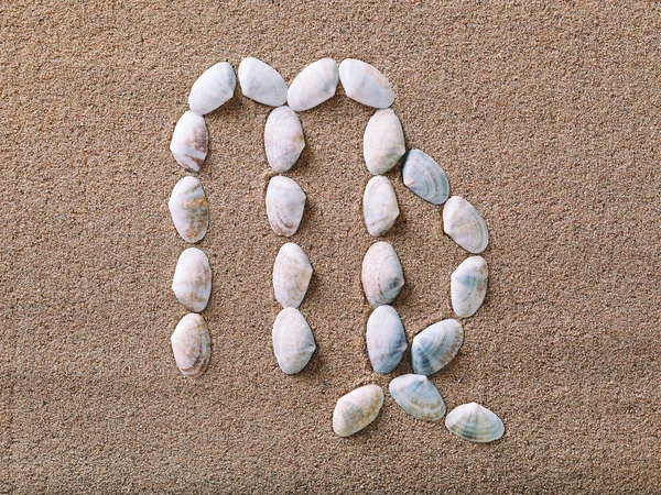 Virgo Zodiac sign made of seashells — Stock Photo, Image