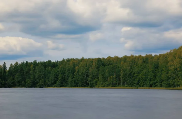 Forest lake in the sunlight — Stock Photo, Image