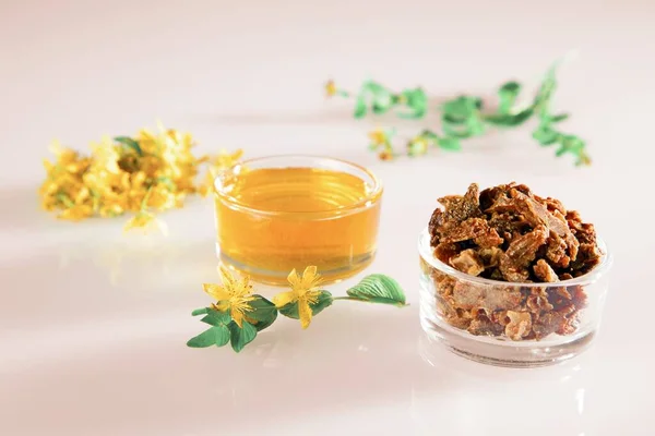 Honung, propolis och färska blommor av johannesört — Stockfoto