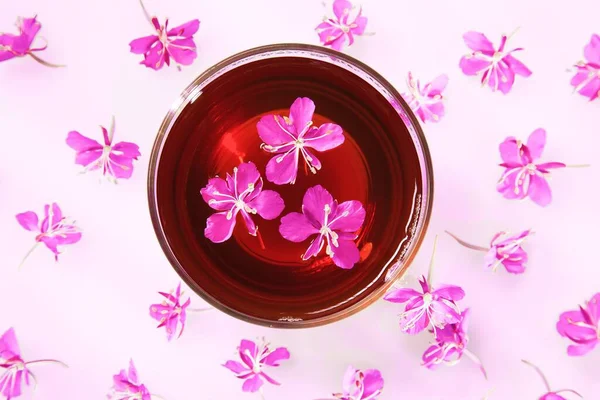 Beautiful composition of willow-herb tea and fresh flowers Royalty Free Stock Photos