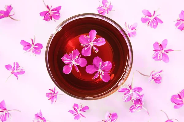 Schöne Komposition aus Weiden-Kräutertee und frischen Blumen lizenzfreie Stockfotos