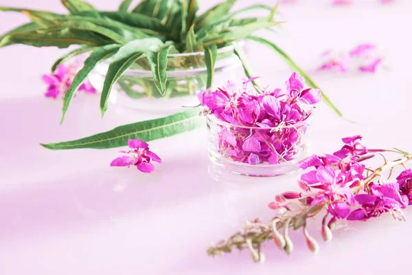 Piękna kompozycja wiosenna świeżych kwiatów i liści wierzby — Zdjęcie stockowe