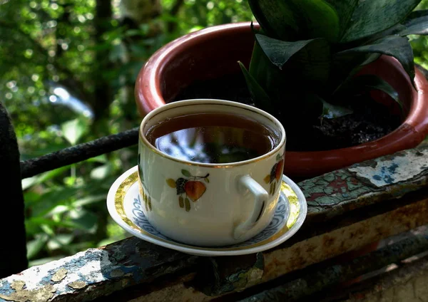 Afternoon tea with autumn birch on the old balcony.