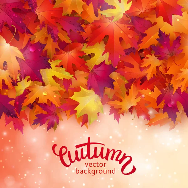 Vykort med blad och bokstäver hösten — Stock vektor
