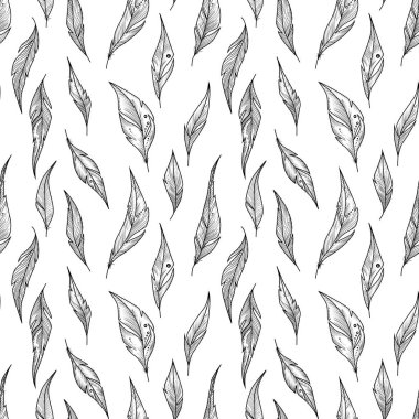 Dekoratif süs tüyleri