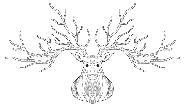 Deer head, graphic head drawing — Stock Vector