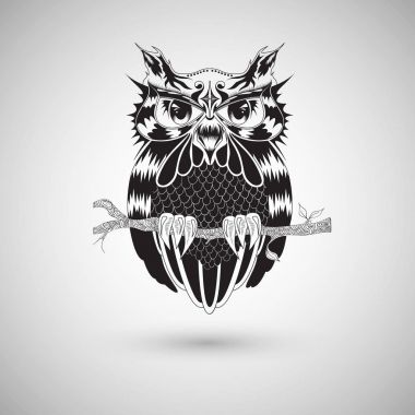 Baykuş çizim grafik