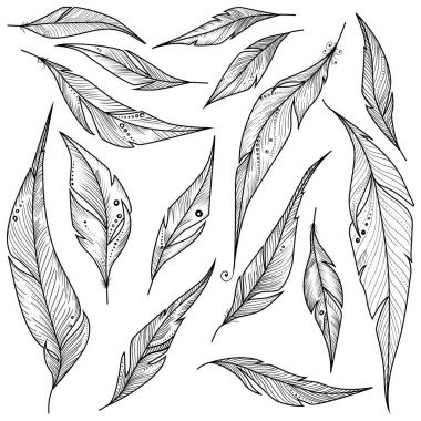 Dekoratif tüyleri ile Seamless Modeli