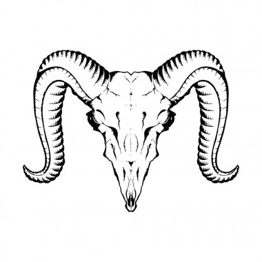 antilop kafatası taslağını