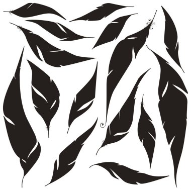 Dekoratif elle çizilmiş tüyler kümesi