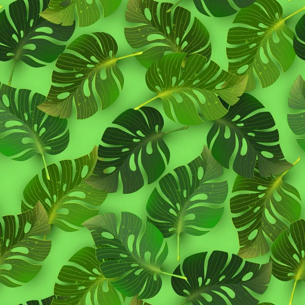 模式与丛林热带龟背竹叶 — 图库矢量图片