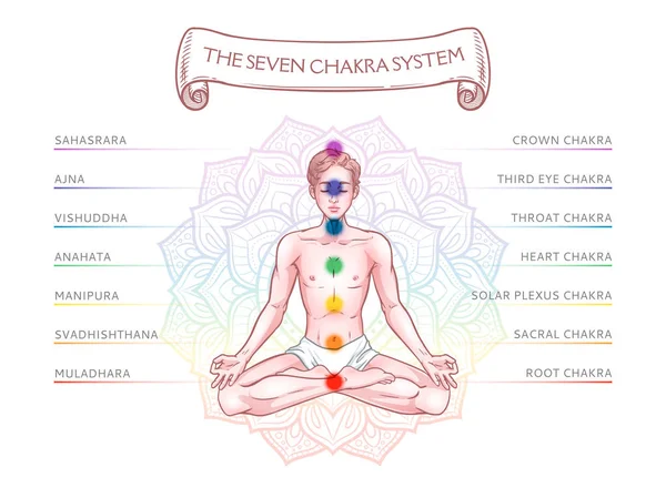 Sistema Siete Chakras Cuerpo Humano Infografía Con Hombre Yogui Meditante — Vector de stock