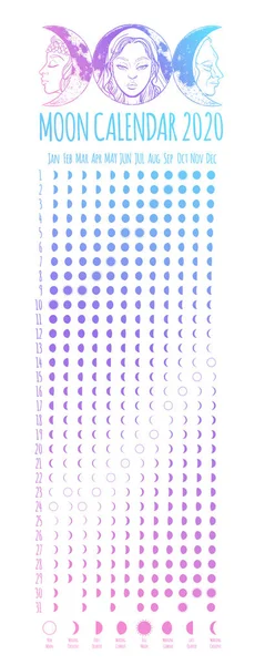 Mondkalender, Jahr 2020, Mondphasen, Zyklen. Designbeispiel — Stockvektor