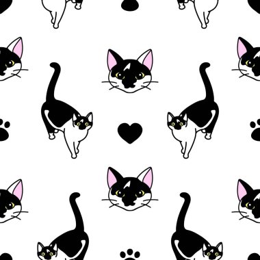 Sevimli siyah beyaz kedileri olan kusursuz bir desen. Yayın dokusu