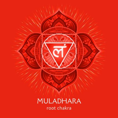 Muladhara, kök çakra sembolü. Renkli mandala. Vektör çizimi