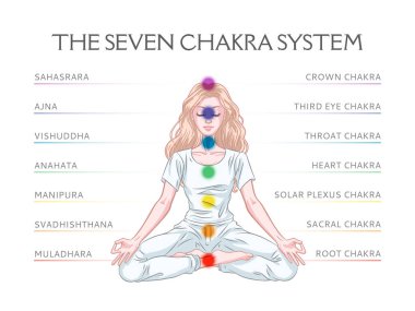 İnsan vücudunda yedi çakra sistemi, meditasyon yogi kadın ile infografik, vektör illüstrasyon