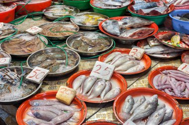 Bir Hong Kong ıslak pazarda satışa taze deniz ürünleri