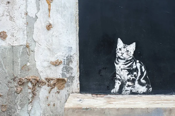 Graffitied cat street art design — Stock Photo, Image