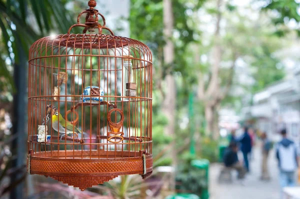 Μικρό πουλί σε ένα κλουβί στο Yuen Po Bird Market, Χονγκ Κονγκ — Φωτογραφία Αρχείου