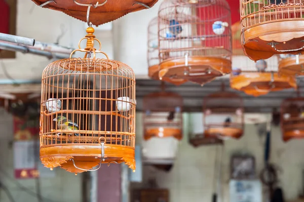 Pájaro enjaulado pequeño en el mercado de aves Yuen Po, Mong Kok, Hong Kong —  Fotos de Stock